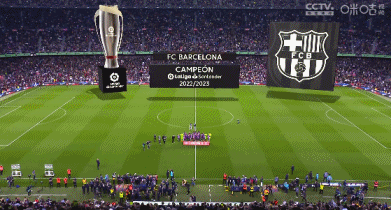 数据显示C罗生理年龄仅28.7岁，C罗回应：数据不会说谎